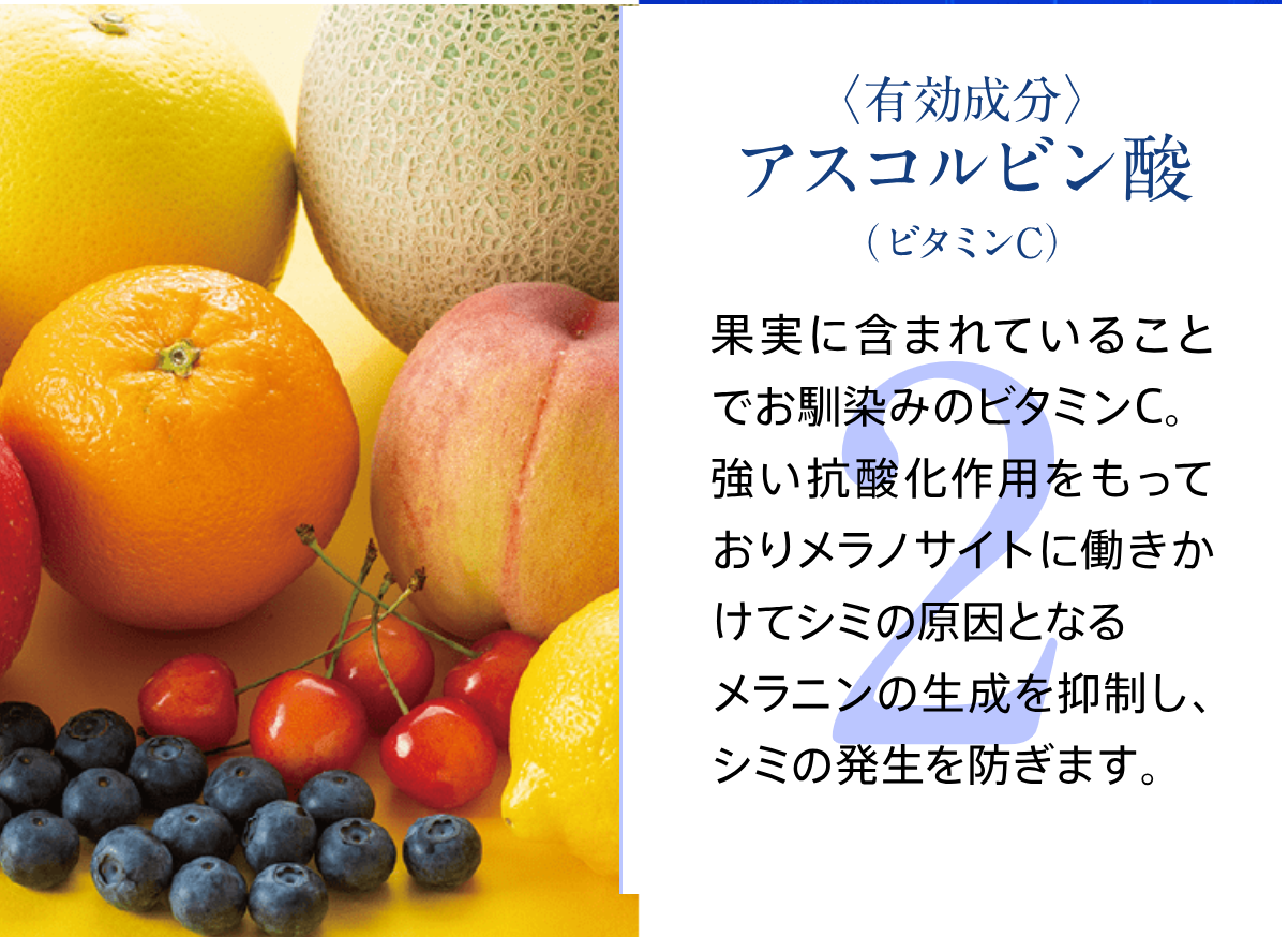 Causesix White Premium｜コーズシックスホワイトプレミアム